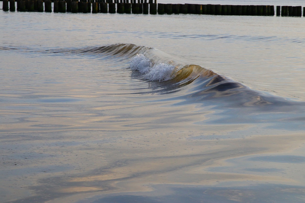 baltic sea, darß, beach-5306504.jpg